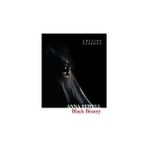 Collins Yayınları Black Beauty (Collins C)