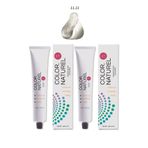 Color Naturel 11.11 Yoğun Küllü Platin Kalıcı Saç Boyası 100 ml 2 Adet
