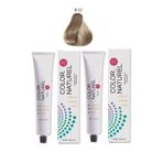 Color Naturel 8.11 Yoğun Küllü Açık Kumral Kalıcı Saç Boyası 100 ml 2 Adet