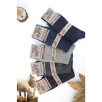 Color Socks 5 Çift Kışlık Yün Çorap Lambswool (Özel Kuzu Yünlü) - 40 - 45 - Çok Renkli