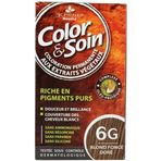 Color Soin 6G Koyu Kestane Organik Saç Boyası