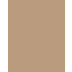 Colorama Coffee 272x1100 cm Stüdyo Kağıt Fon