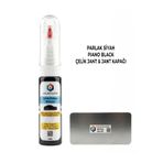 COLORGUARD Parlak Siyah Piano Black Jant Kapağı Rötuş Boyası 2 in 1 Şişe ve Profesyonel Rötuş Çeliği Seti
