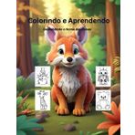 Colorindo e Aprendendo: Descobrindo o Nome das Coisas: Um Livro Divertido para Conhecer o Mundo ao Redor! (Pequenos Descobridores)
