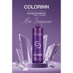 Colorinn Stardust Professional Silver Mor Şampuan 1000 ml