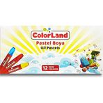 Colorland 12 Renk 01 Pastel Boya
