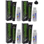 Colormax 2 Siyah Kestane - Oksidan Krem 90 ml 4'lü
