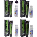 Colormax 4.20 Patlıcan Moru - Oksidan Krem 90 ml 4'lü
