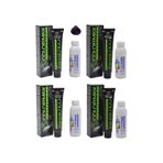 Colormax 4.20 Patlıcan Moru + Oksidan Krem 90ml 4'lü