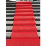 Colourmat Kaydırmaz Kaymaz Yolluk Karmaşık Halı Kıvırcık Paspas 1m X 3m (kırmızı)
