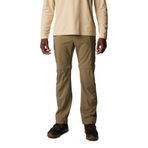 Columbia Erkek Silver Ridge Utility Cabrio Pantolon, Taş Yeşili, 30