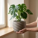 COMES VONA Serisi Gri Sarmal Dokulu Modern Dekoratif Saksı 20x15 cm (Gri)