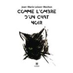 Comme l'ombre d'un chat noir