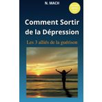 Comment Sortir de la Dépression: Les 3 alliés de la guérison. Guérir de la dépression sans médicaments. Soulager son stress, anxiété, angoisse, déprime. Stopper les crises d'angoisse. Changer sa vie.