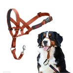 Company of Animals HALTI Başlık - Köpeğinizin Tasmayı Çekmesini Durdurmak İçin. Ayarlanabilir, Yansıtıcı ve Hafif, Dolgulu Burun Bandı. Büyük Köpekler için Köpek Eğitimi Çekme Önleyici Yaka (Beden 4, Yanmış Turuncu)