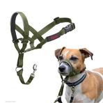 Company of Animals HALTI Başlık - Köpeğinizin Tasmayı Çekmesini Durdurmak İçin. Ayarlanabilir, Yansıtıcı ve Hafif, Dolgulu Burun Bandı. Küçük Köpekler için Köpek Eğitimi Çekme Önleyici Yaka (Beden 1, Orman Yeşili)