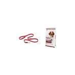 Company of Animals Halti Köpek Eğitim Kayışı, Küçük Boy Kırmızı, 2 m + Reflex Plus Adult Dog High Energy 28/18 Beef, 15 Kg