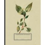 Composition Notebook College Ruled: Wild Cornel Vintage Botanical Illustration | Cute Floral Aesthetic Journal For Girls, Teens, Women | Wide Lined