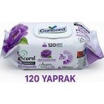 Concord Islak Mendil 120 Adet - Alkol içermez - pH Dengeli - Ege Esintisi