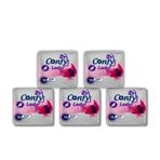 Confy Lady Ultra Normal 10x5 Adet Hijyenik Ped