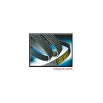 Continental 6Pk2585 V Kayışı Crafter 06- 2.5 Tdı Klimalı