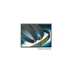 Continental 7PK1623 Kanallı Kayış