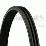 Contitech 3PK683 Kanallı Kayış