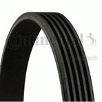 Contitech 5PK813 Kanallı Kayış