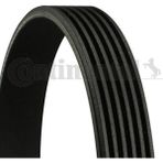 Contitech 6PK986 Bravo Punto 96-00 1.9 V Kayışı