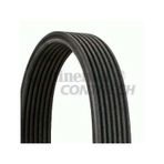 Contitech 8DPK1833 Otomotiv Kayışı