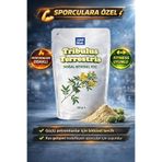 cool blue Saf Tribulus Terrestris Aktif Yaşam Desteği Demir Dikeni Tozu Çoban Çökerten Çayı 100gr ilacı değil