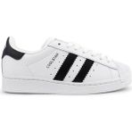Cool C.star Anatomik Bağlı Genç Günlük Sneaker Spor Ayakkabısı