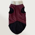 Cool Suit M Oldie Bordo Köpek Kıyafeti