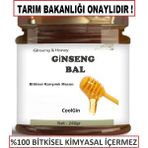 CoolGin 1 adet 240 gr Macun 240 gr Bitkisel Besin Takviyesi Rators Ginsengli Macun