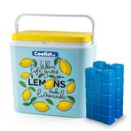 Coolist CLB30LM 30 lt Limon Desenli Buzluk + 3x400 gr Buz Kaseti