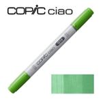 Copic Ciao G 14 Apple Green Çizim Kalemi