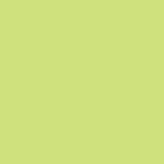 Copic No:YG25 Celadon Green Marker Kalem