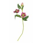 Çöplemecik Yapay Helleborus Çiçeği, Fuşya, 3'lü Demet, 52 cm, Ev Dekorasyonu için Şık Yapay Bitki Dalı