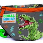 Coral High Gri Yeşil Dinazor Erkek Çocuk Günlük Bel Çantası