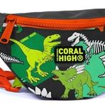 Coral High Kız Çocuk Günlük Bel Çantası - Gri Yeşil Dinazor