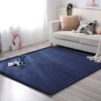 Coral Velvet Parça Halı Kaymaz Çocuk Odası Oyun Matı Yumuşak Halı Oturma Odası ve Yatak Odası için Emekleme ve Spor için İdeal Büyük 200 x 280 cm Yumuşak Zemin Kaplaması