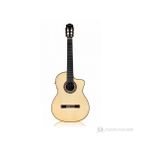 Cordoba GK Pro Negra Elektro Klasik Gitar
