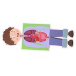 CORHAD 2 Takım Insan Organ Modeli Oyuncaklar DIY Oyuncaklar Oyuncaklar Eğitim Oyuncak Için DIY Oyuncaklar Seti Eğitici Oyuncak DIY Zanaat Kiti Insan Vücudu Çocuk Zanaat Malzemeleri Kağıt
