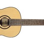 Cort AF510EOP Akustik Gitar