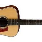 Cort L100 ONS Akustik Gitar