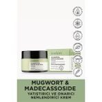 Cos.kim Mugwort & Madecassoside Yatıştırıcı ve Onarıcı Nemlendirici Krem|Mugwort&Madecassoside Cream 50ml