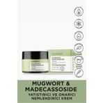 Cos.kim Mugwort Ve Madecassoside Içeren Yatıştırıcı Ve Onarıcı Nemlendirici Bakım Kremi 50 ml