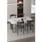 Cosargroup Ege 4 Kişilik Mutfak Masa Takımı Antrasit Kumaş 70x110 W Wayak
