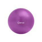 Cosfer Pilates Topu 55 cm Mor