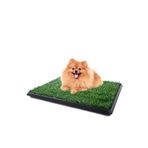 Cosmonis Yavru Köpek Tuvalet Alıştırma Kiti Akıllı Pet Park Evcil Hayvan Tuvalet Eğitim Seti